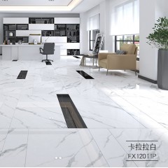 罗马磁砖 柔抛模具面釉面砖地砖大理石瓷砖600x1200地板砖FX12011