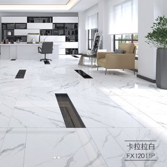 罗马磁砖 柔抛模具面釉面砖地砖大理石瓷砖600x1200地板砖FX12011