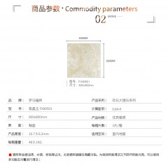 罗马磁砖大理石瓷砖800x800 现代简约客厅卧室釉面地板砖FX80501