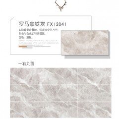 罗马磁砖 柔光模具面大理石瓷砖600x1200釉面砖地板砖FX12041