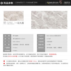 罗马磁砖 柔光模具面大理石瓷砖600x1200釉面砖地板砖FX12041