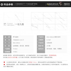 罗马磁砖 柔抛模具面釉面砖地砖大理石瓷砖600x1200地板砖FX12011