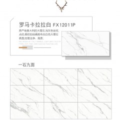 罗马磁砖 柔抛模具面釉面砖地砖大理石瓷砖600x1200地板砖FX12011