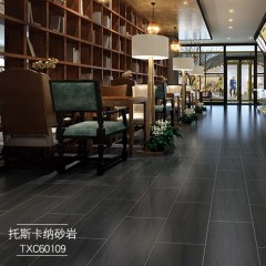 罗马磁砖 柔光复古砖哑光面阳台瓷砖防水防滑地砖托斯卡纳砂岩