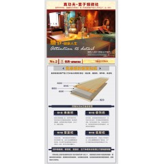 百强（BAIQIANG） 百强 E0级 免漆板金杉木芯18mm厚免漆生态板衣橱柜家具板材 金杉木格尔斯特